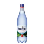Borsec-Apă minerală naturală natural carbogazoasă-1l